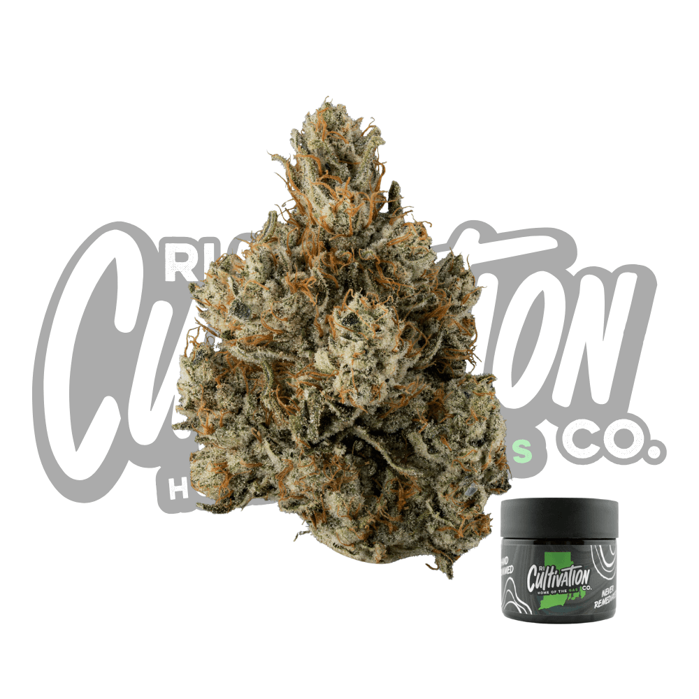 Chem 91