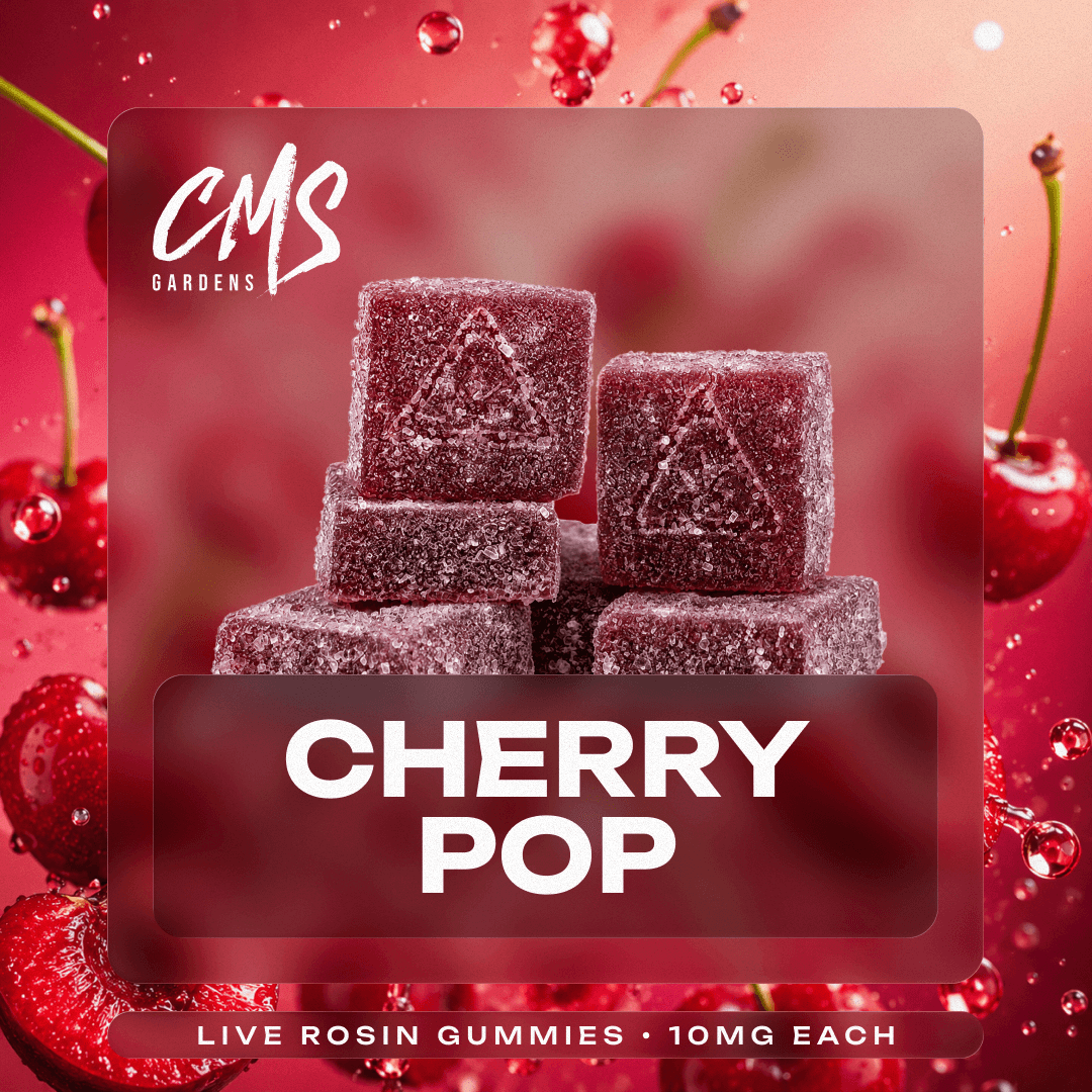 Cherry Pop Live Rosin Gummies - 10mg 10pk