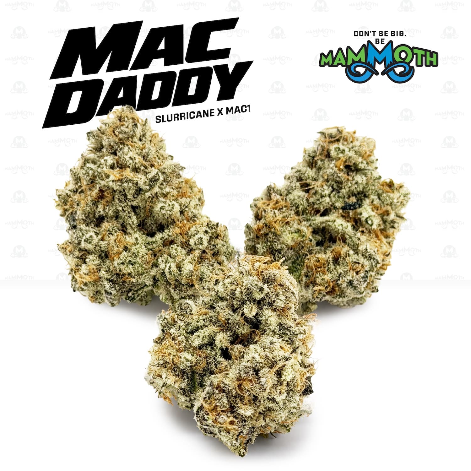 Mac Daddy