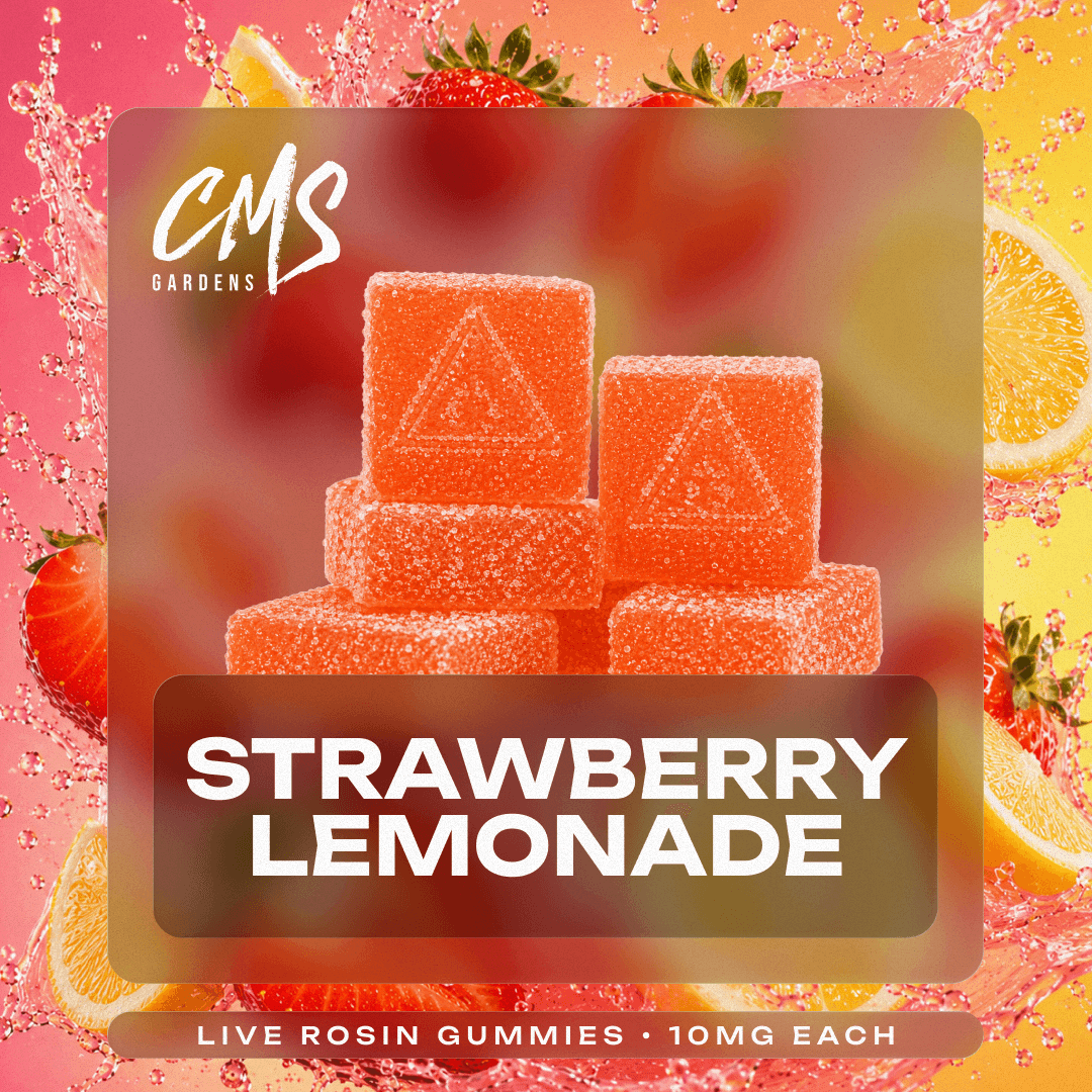 Strawberry Lemonade Live Rosin Gummies - 10pk