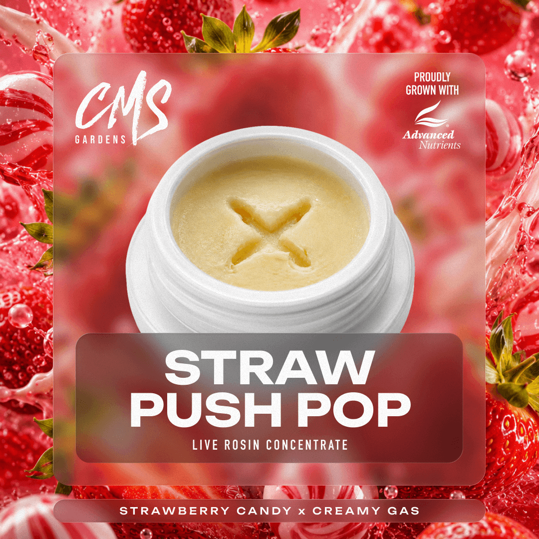 Strawberry Push Pop - 2g Live Rosin