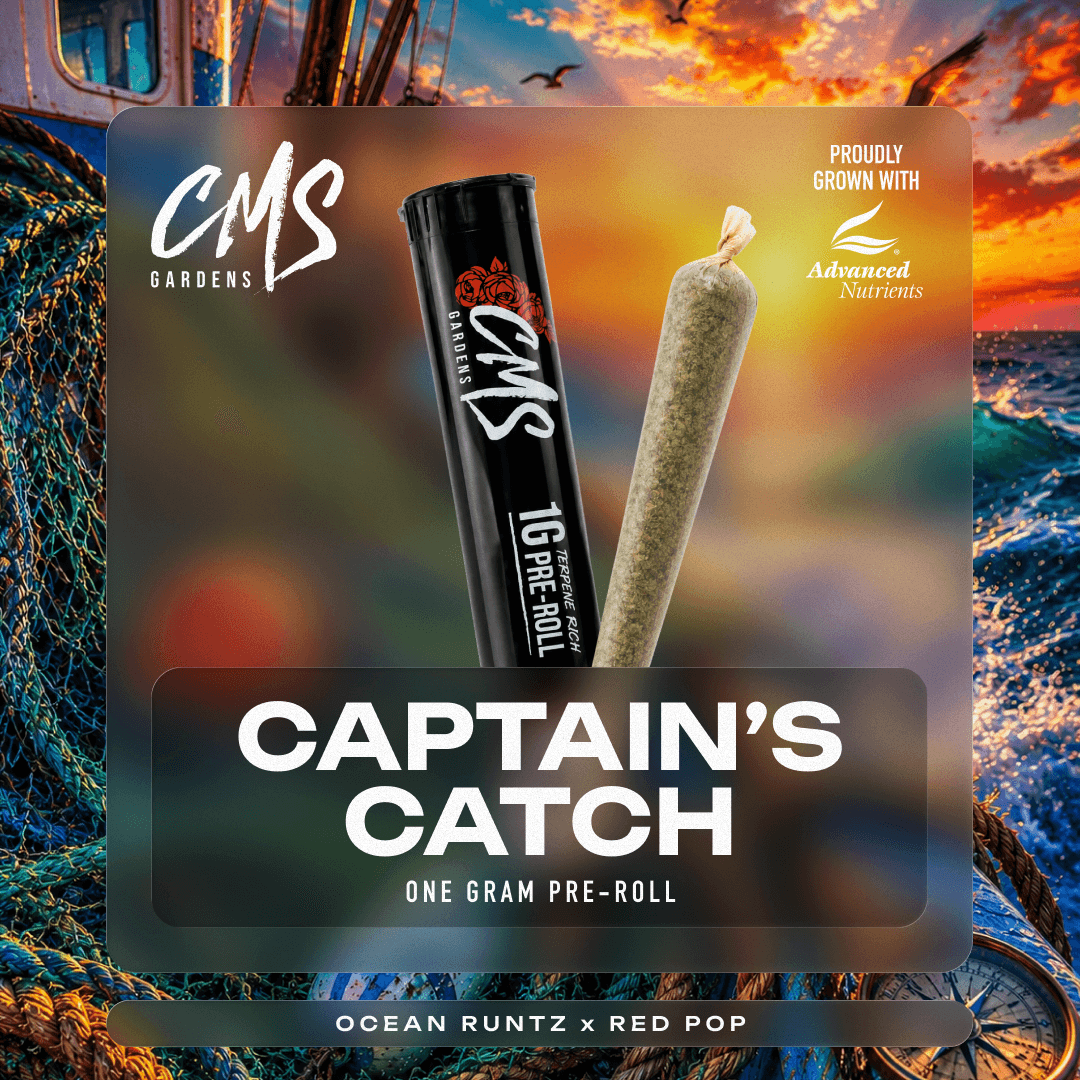 Captains Catch