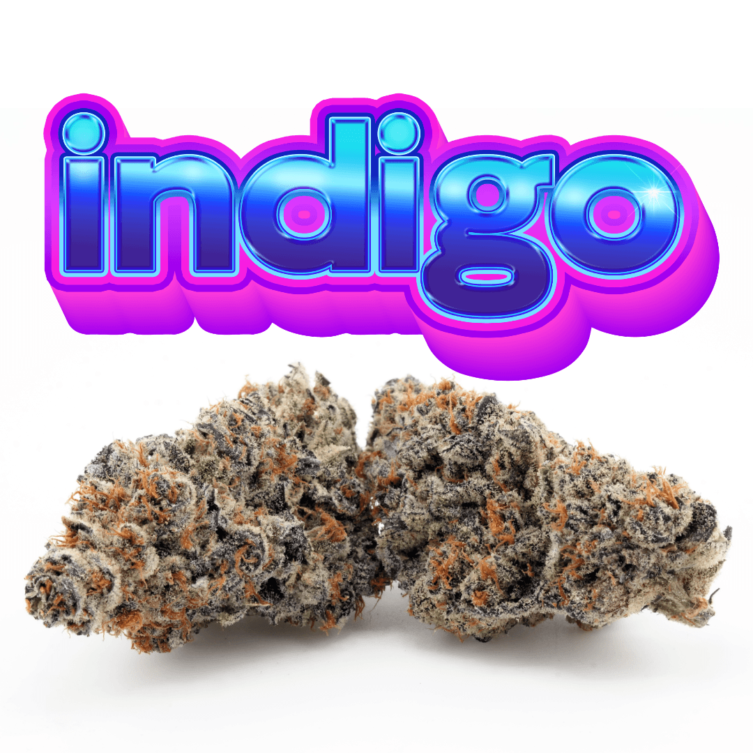 Indigo