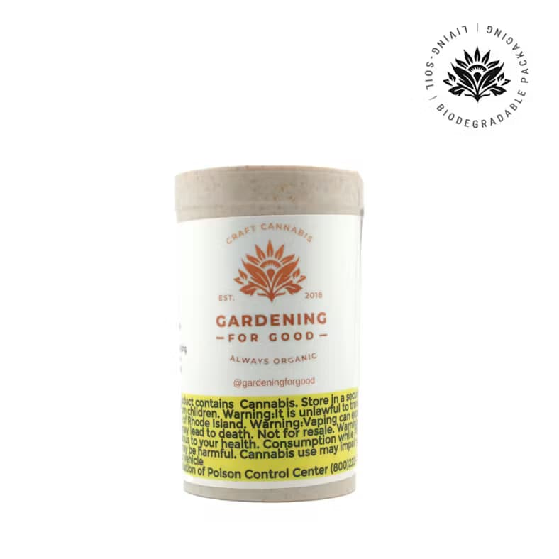 MediCap THC Capsules | 10mg | 10pk