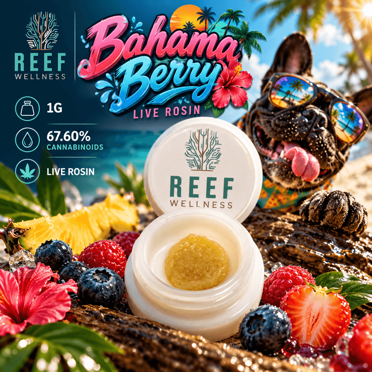Bahama Berry Live Rosin