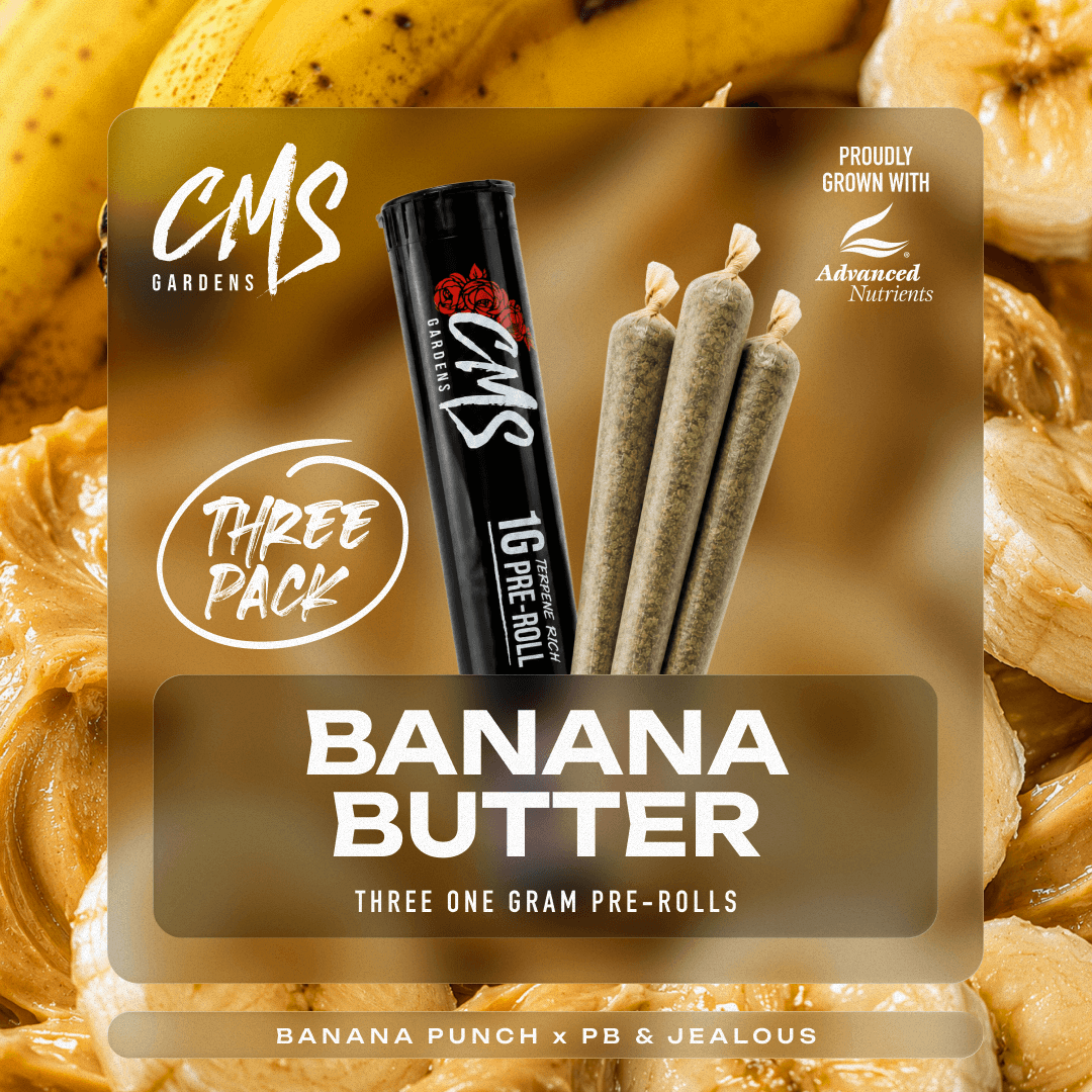 Banana Butter Pre-Roll (1g 3pk)
