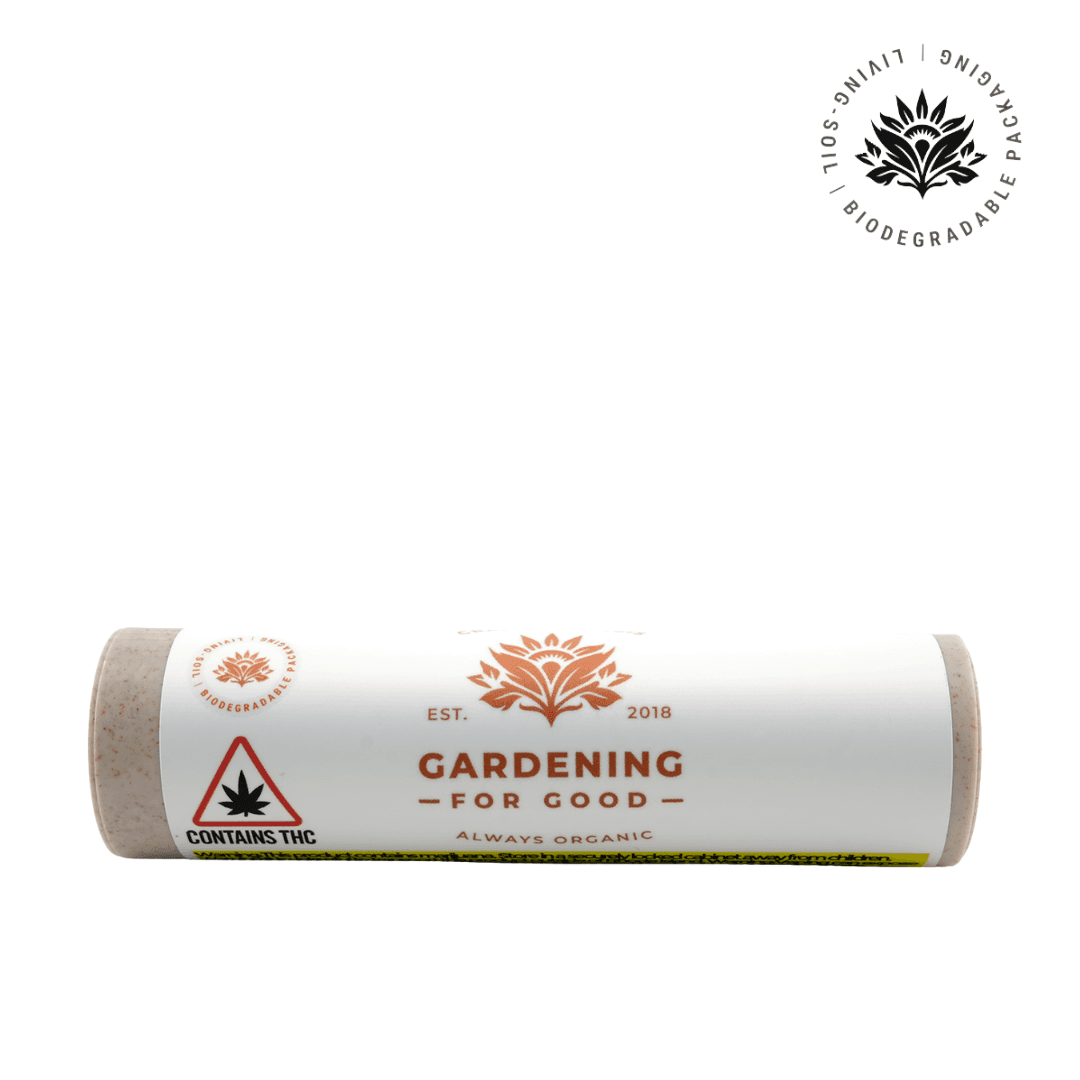 Dragon Blood Hashplant - 3pk 1g Pre-Rolls
