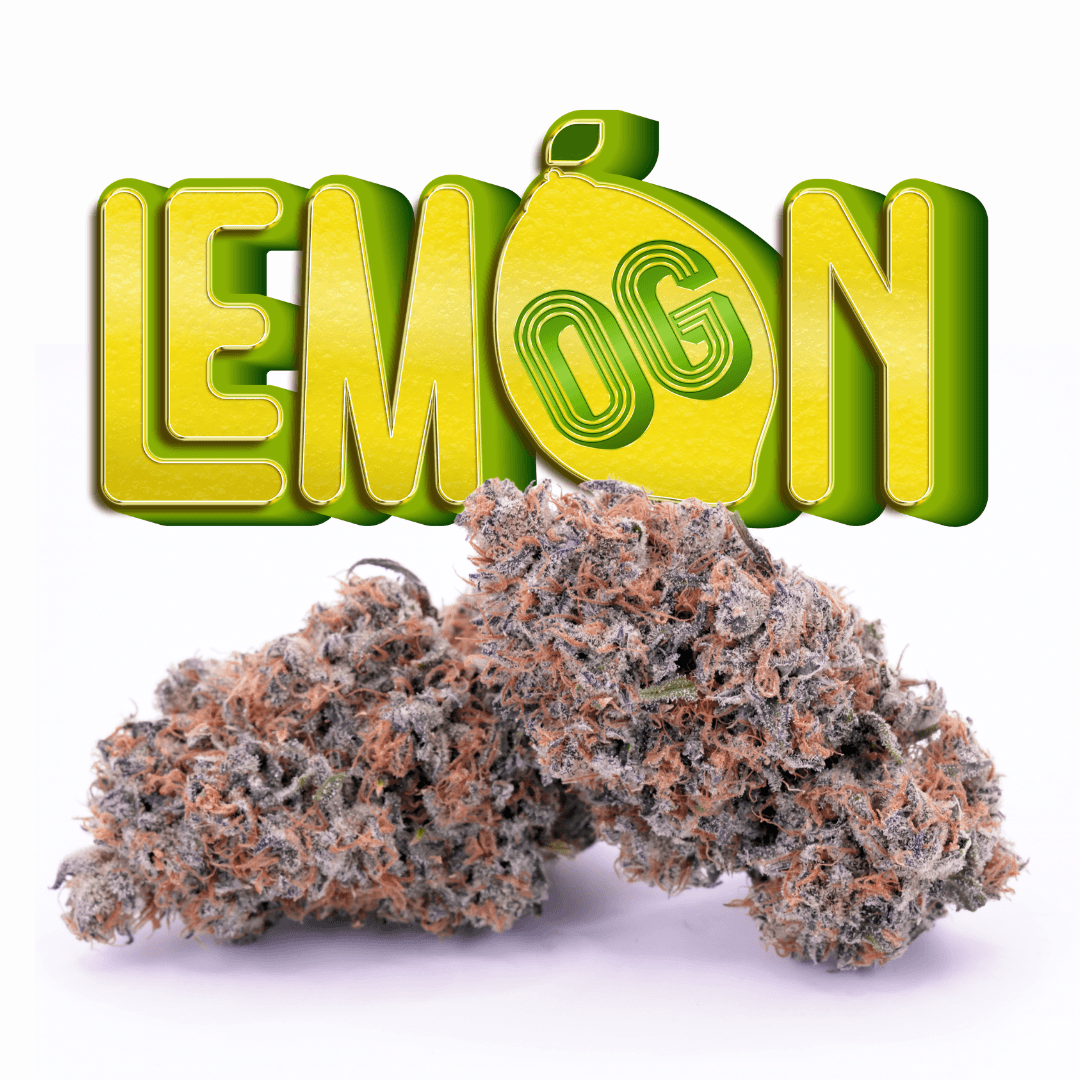 Lemon OG