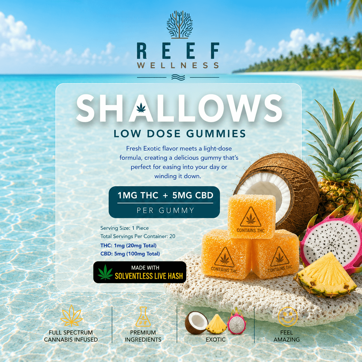 Shallows Low Dose Gummies - Exotic | 1mg THC |  5mg CBD (20 Pack)