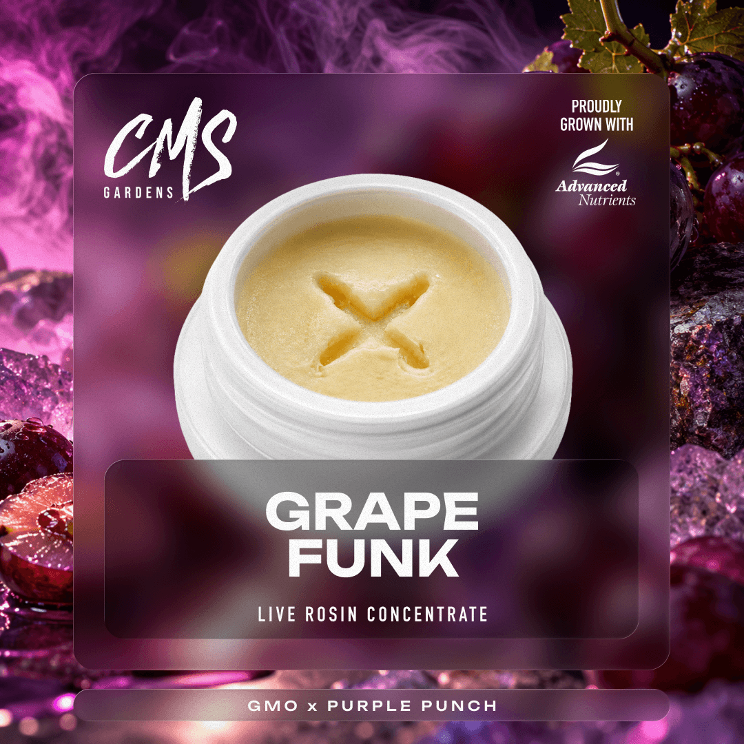 Grape Funk - 2g Cold Cure Live Rosin