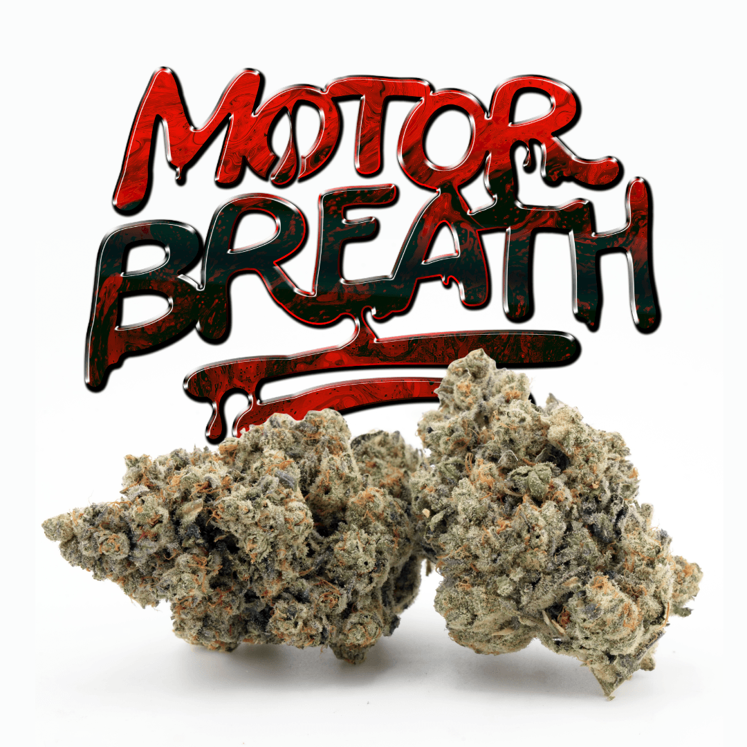 Motor Breath
