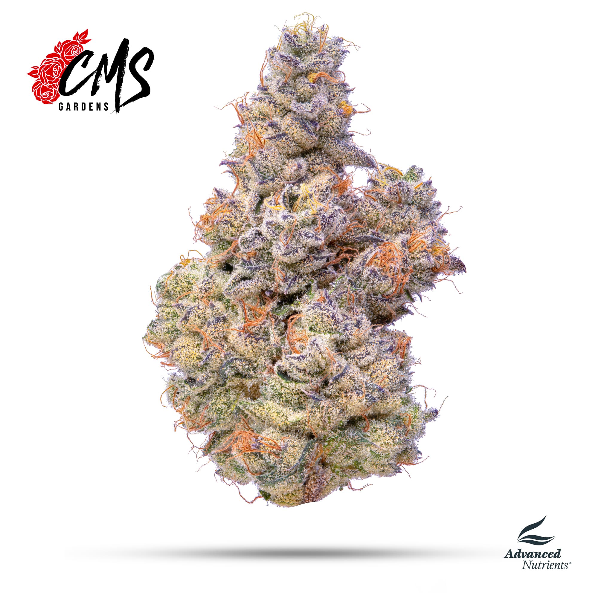 Blueberry Breath -