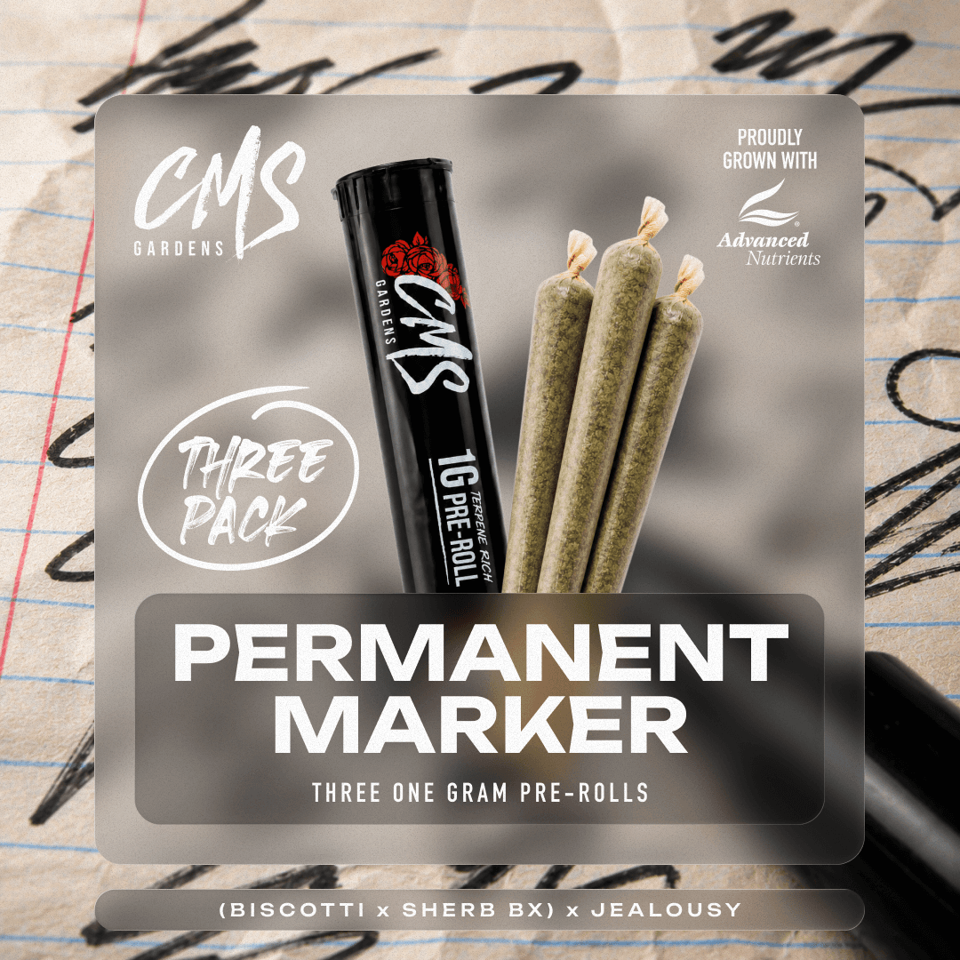 Permanent Marker | 3pk
