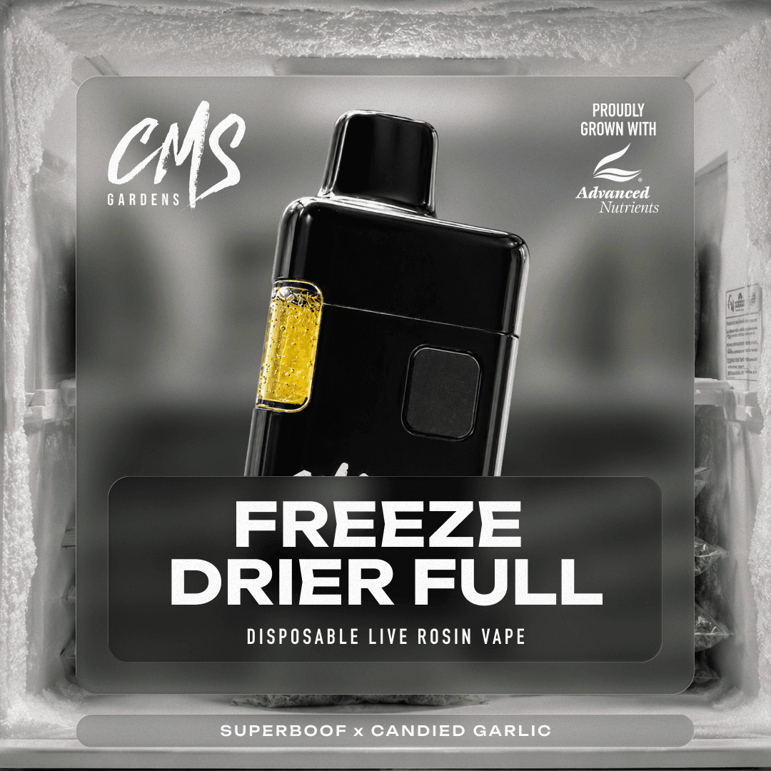 Freeze Drier Full - 1g Live Rosin Disposable Vape