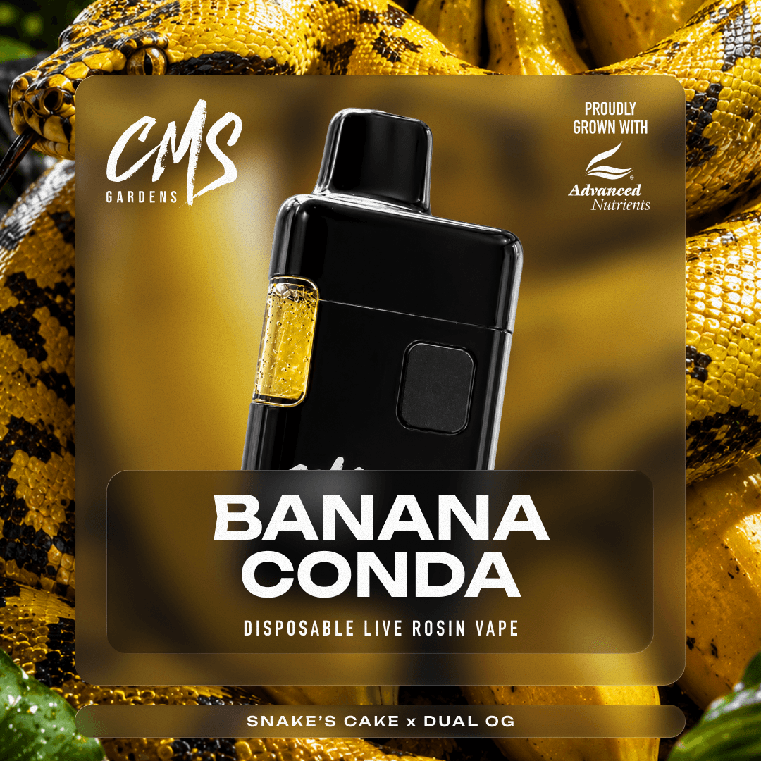 Bananaconda Live Rosin Disposable
