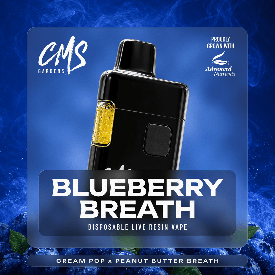 Blueberry Breath - 1g Live Resin Disposable Vape