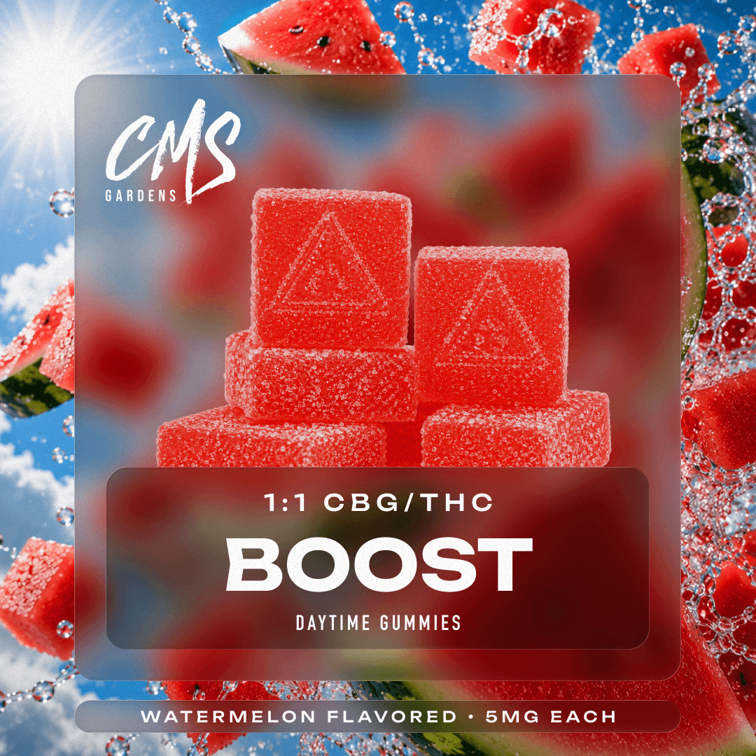 Watermelon Boost Gummies 100mg 20 Pack