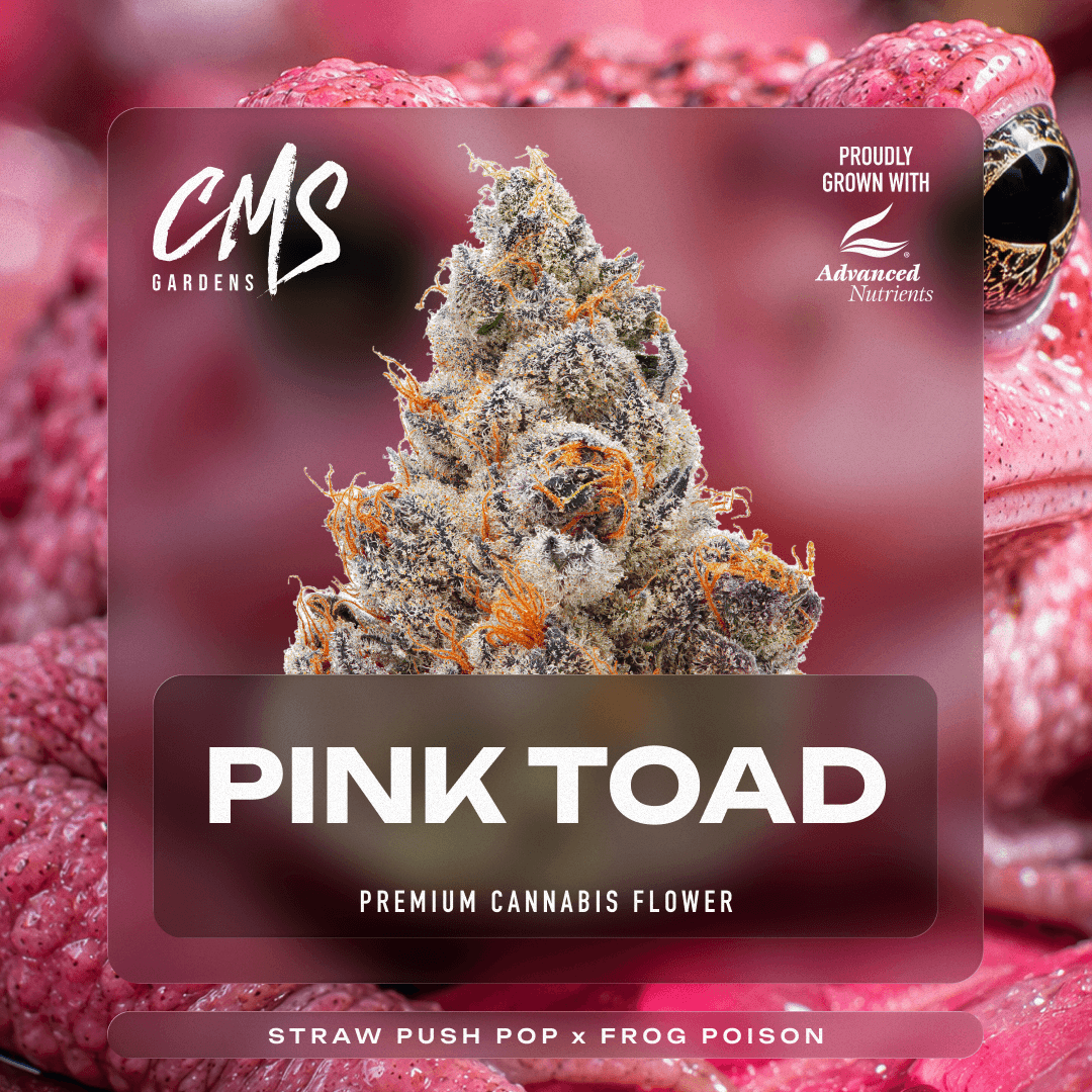 Pink Toad