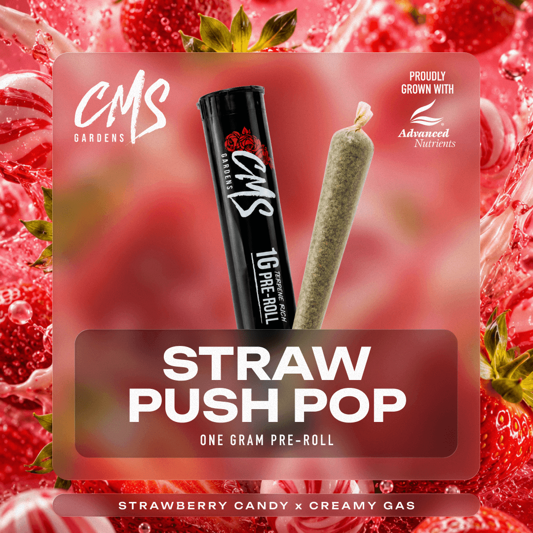 Strawberry Push Pop - 1g Pre-Roll