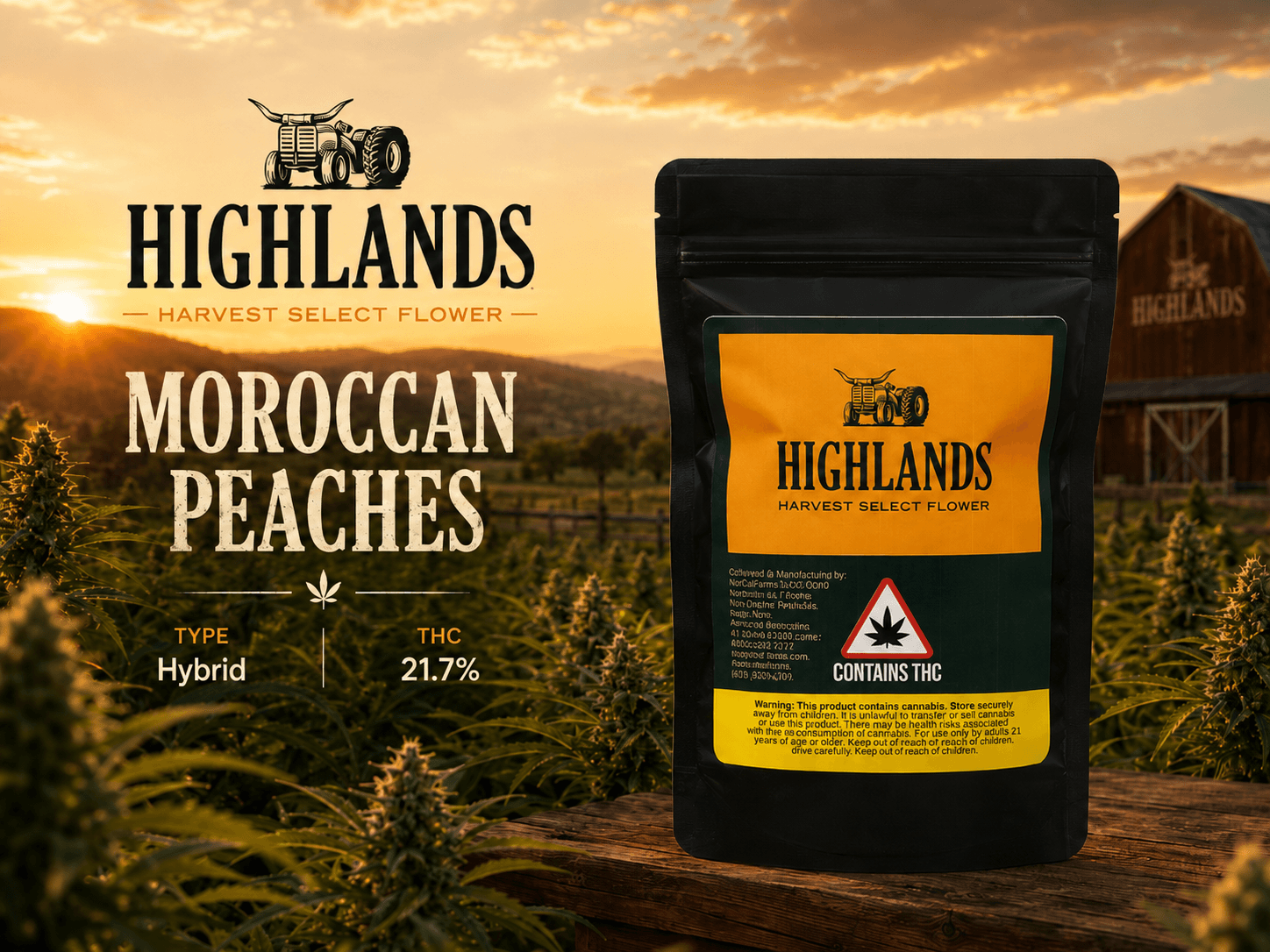 Moroccan Peaches