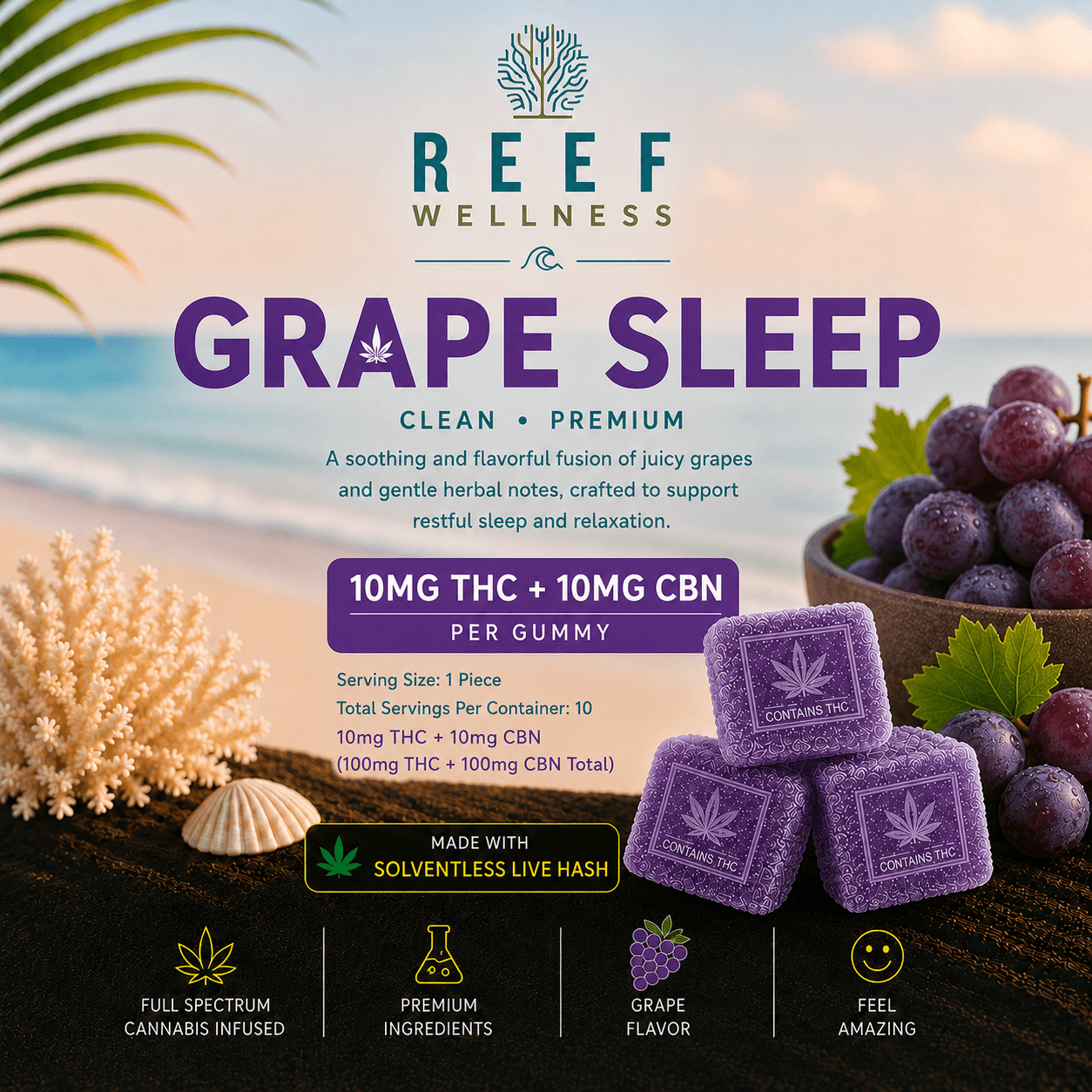 Grape Sleep Gummies | 10 Pack
