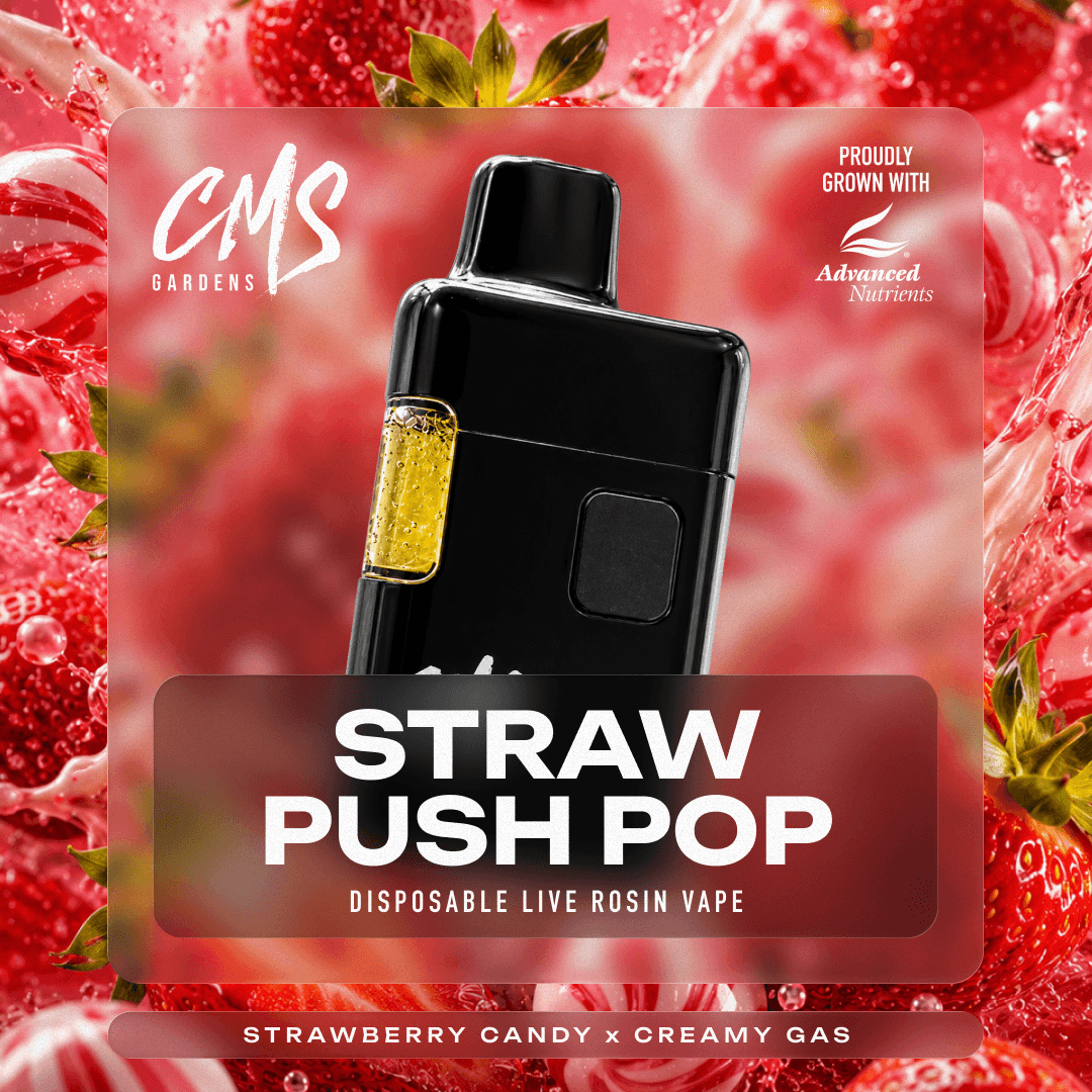 Strawberry Push-Pop Live Rosin Disposable