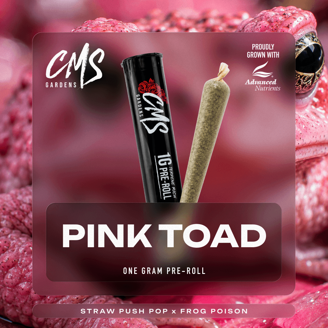 Pink Toad Pre-Roll