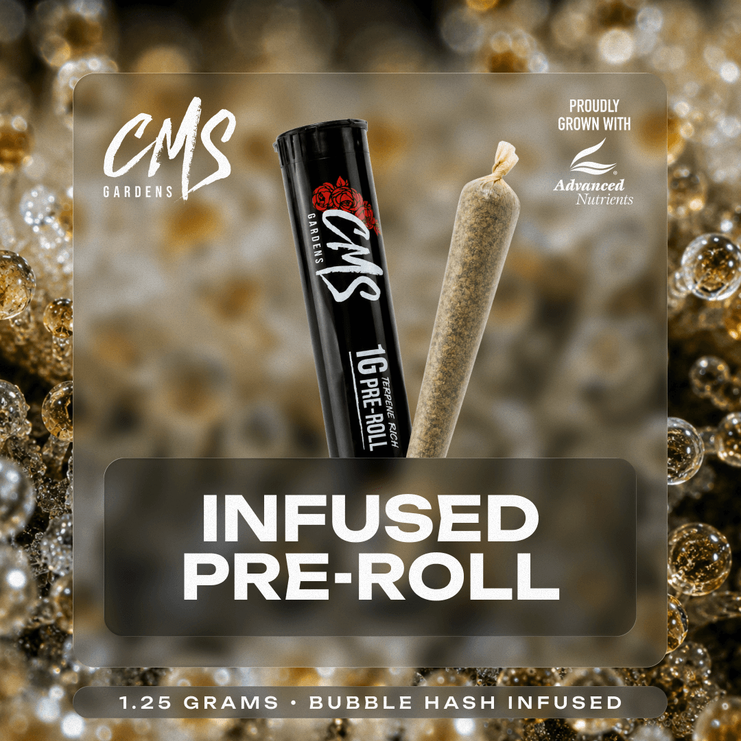 Pink Toad - 1.25g Infused Pre-Roll
