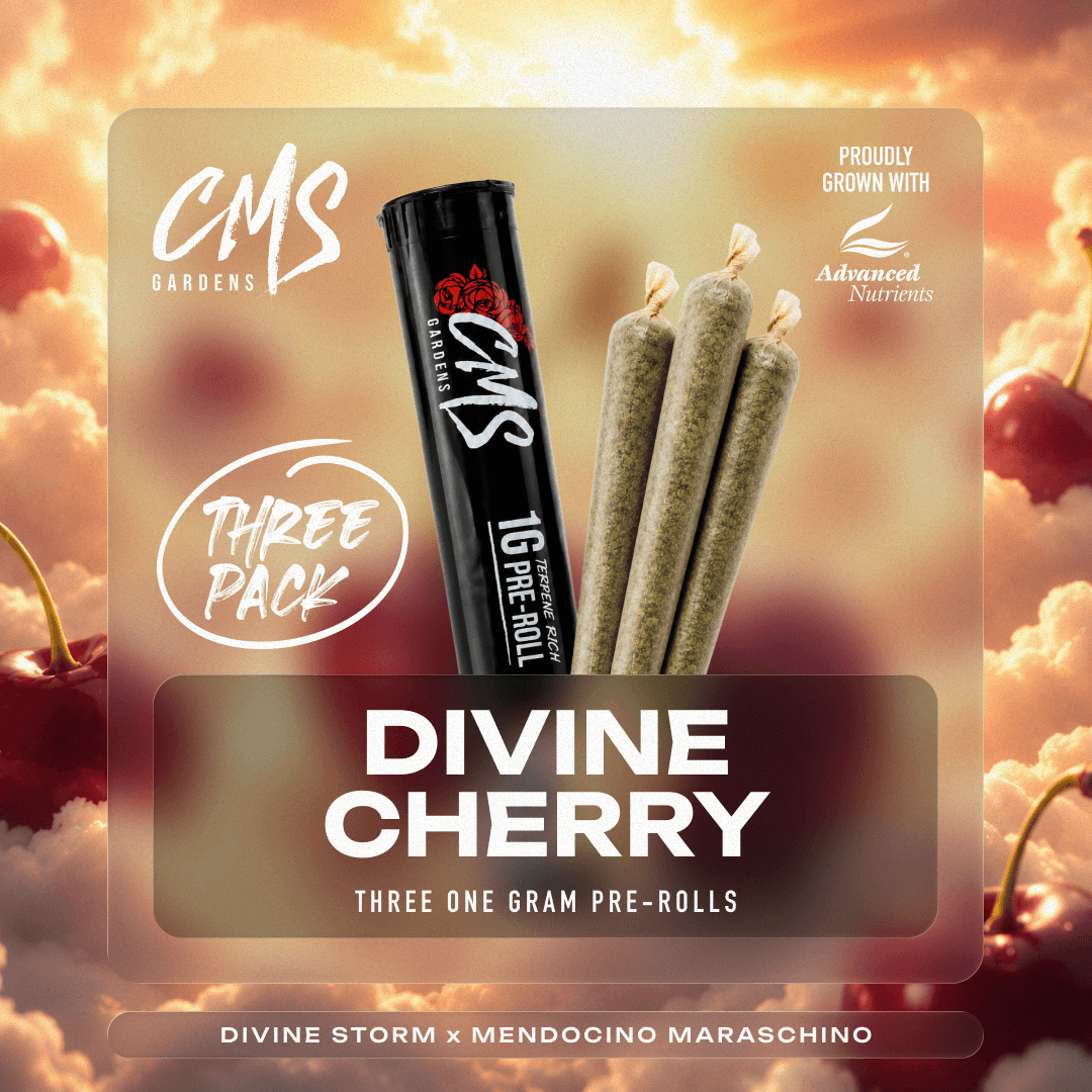 Divine Cherry - 3pk 1g Pre-Rolls
