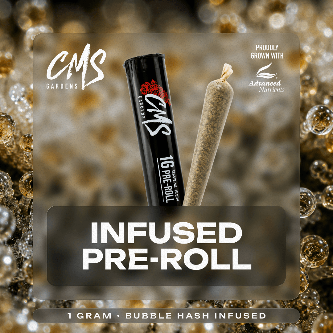 Cherry Bomb Infused Pre-Roll