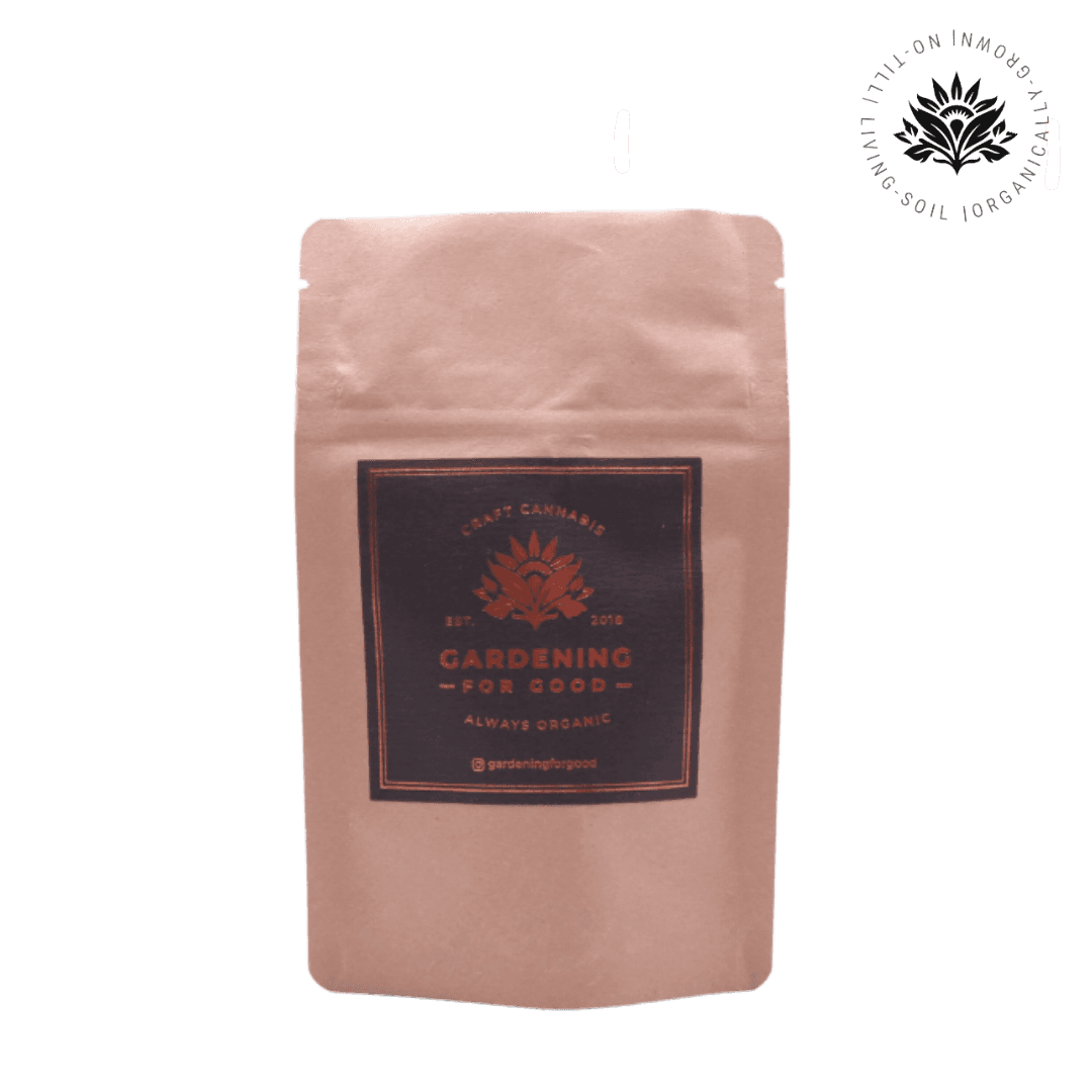 Dragon Blood Hashplant -