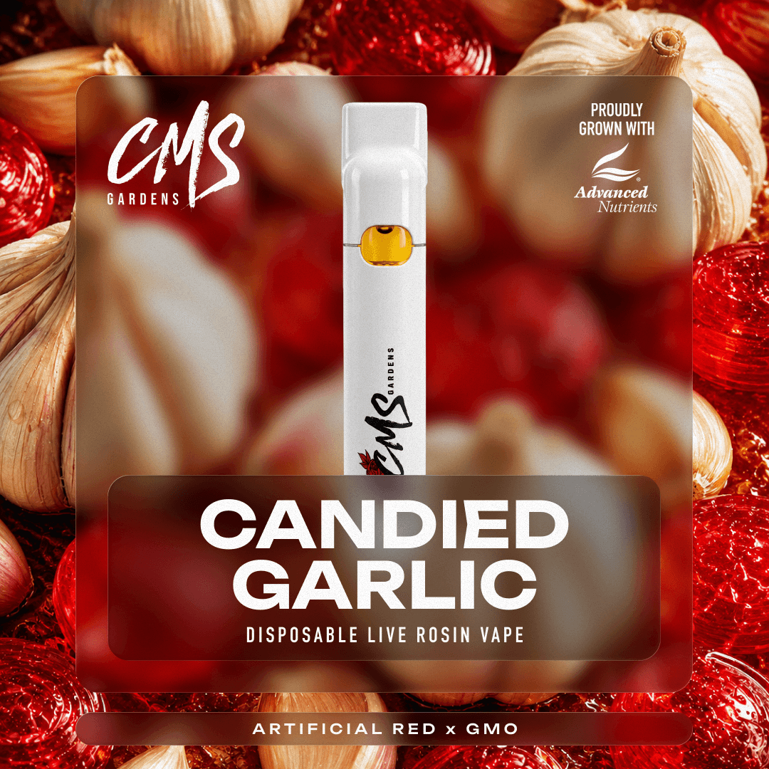 Candied Garlic - 1g Live Rosin Disposable