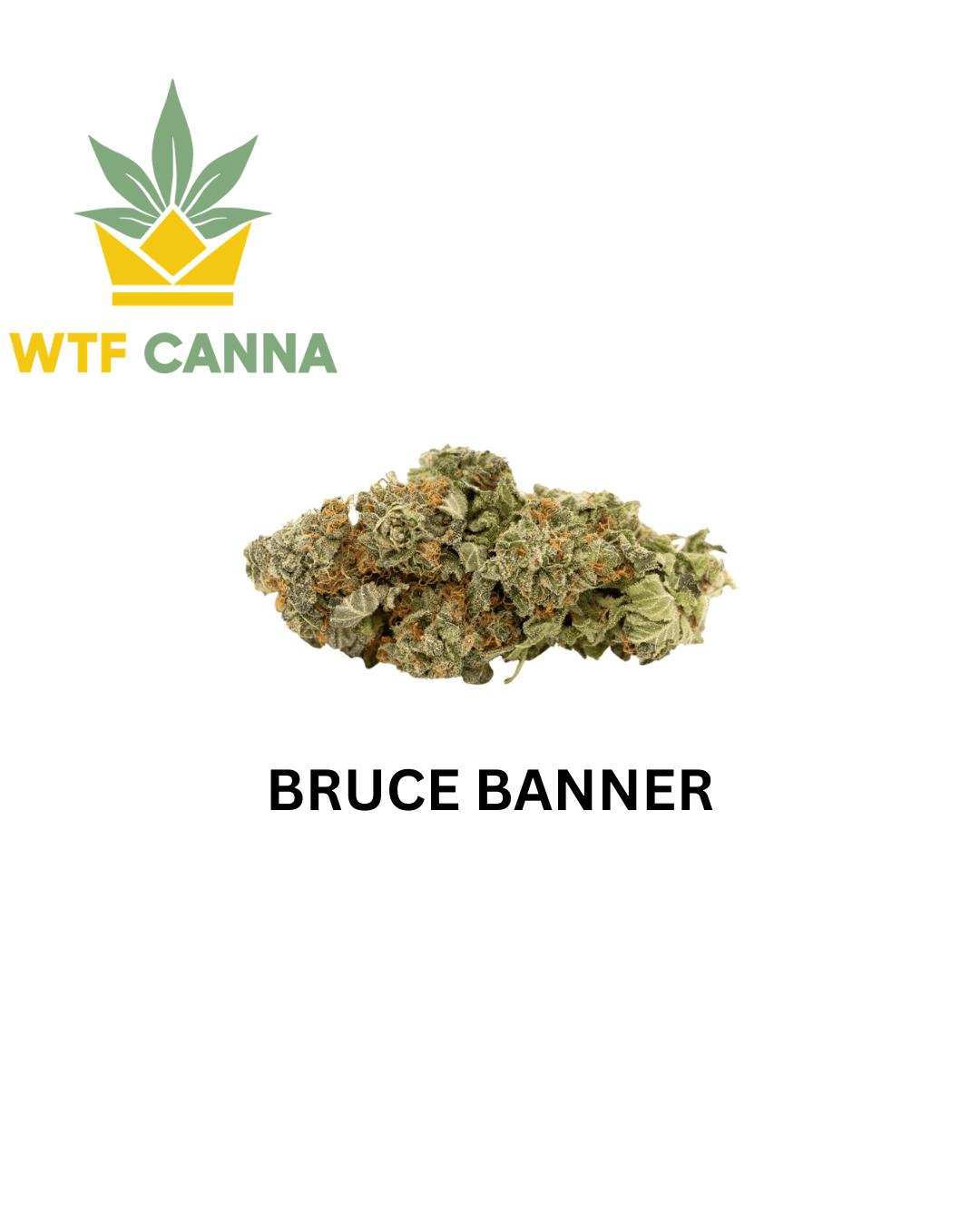 Bruce Banner