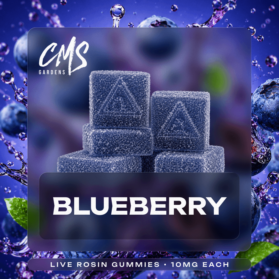 Blueberry | Live Rosin Gummies | 100mg