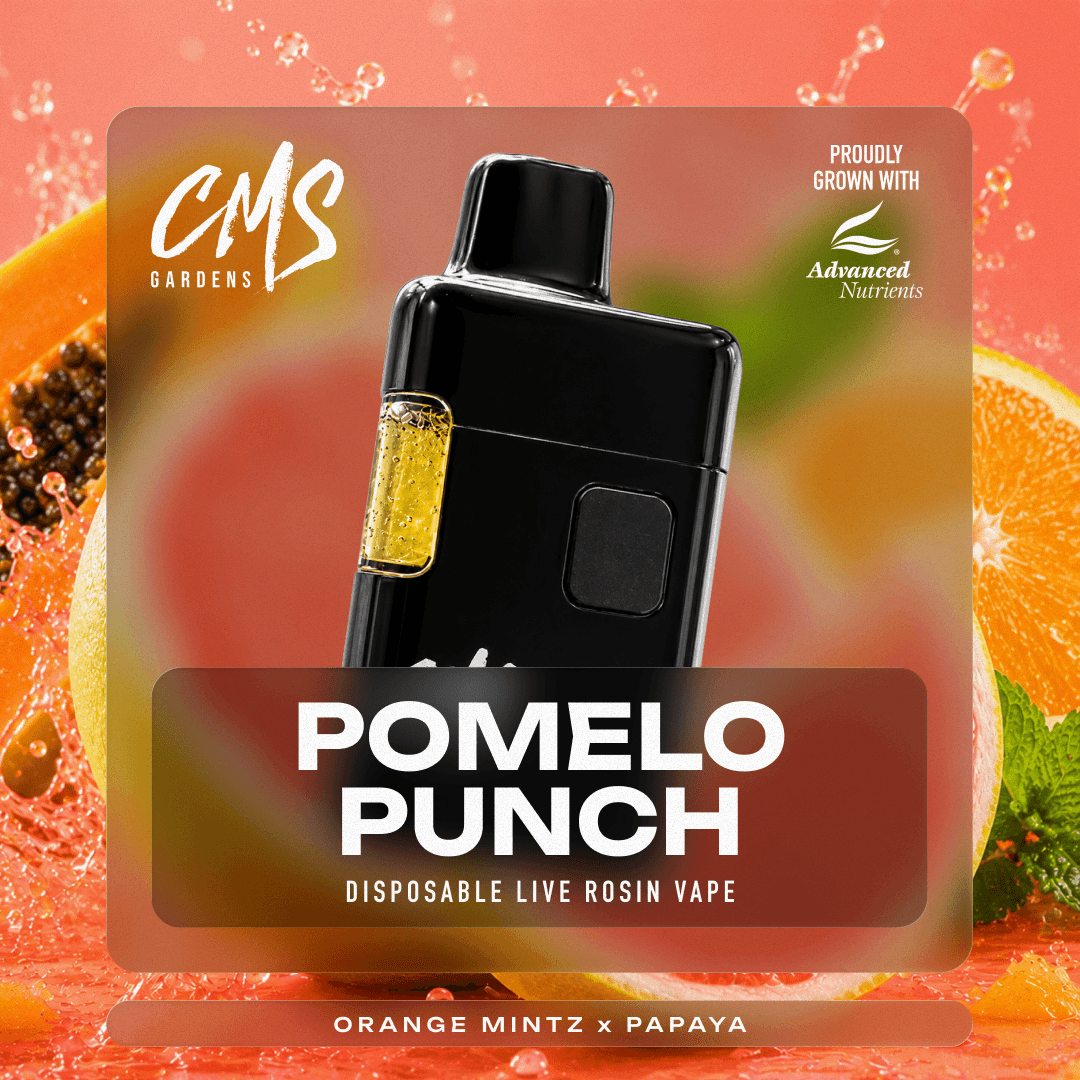 Pomelo Punch - 1g Live Rosin Disposable Vape