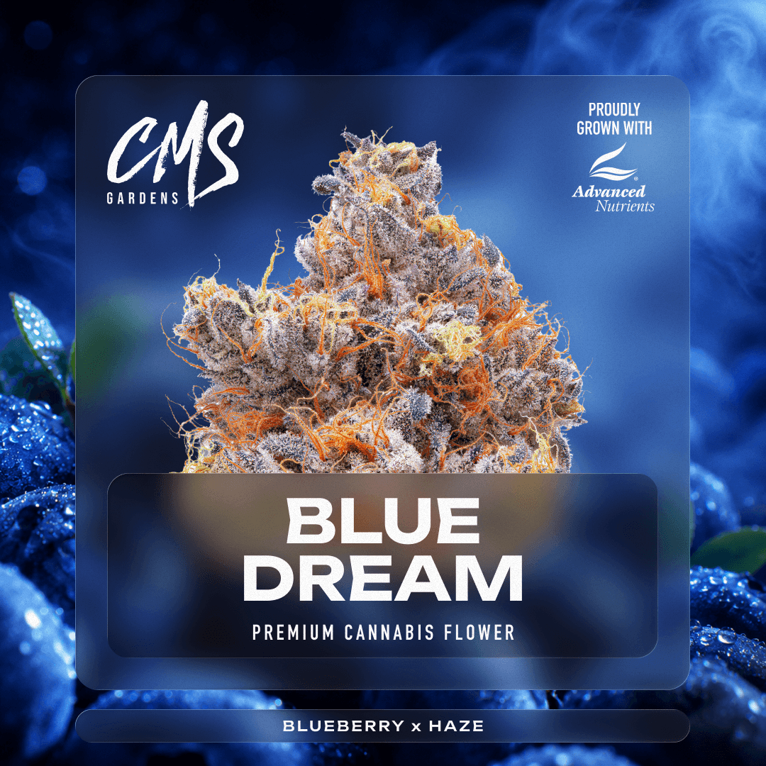 Blue Dream