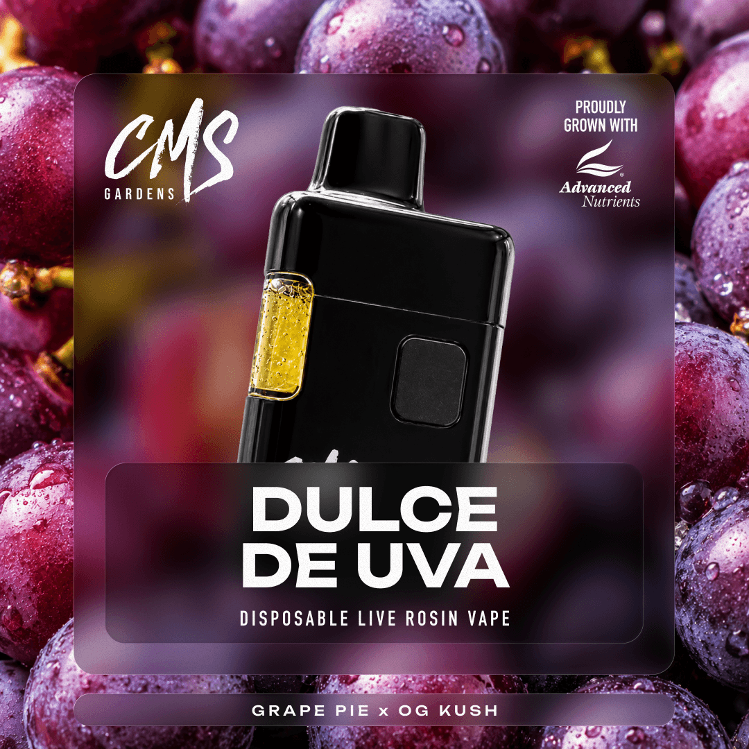 Dulce De Uva Live Rosin Disposable