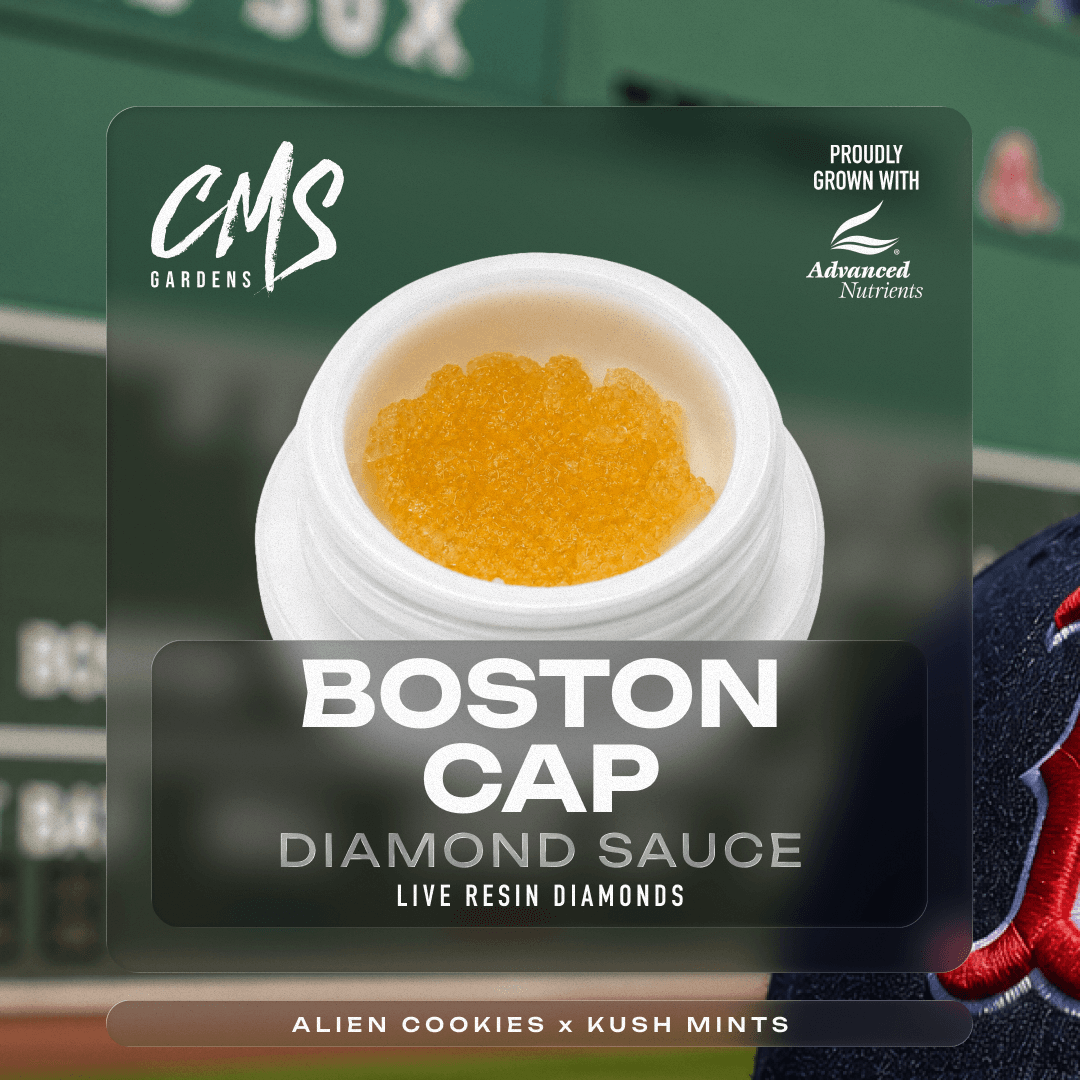 Boston Cap - 1g Diamond Sauce