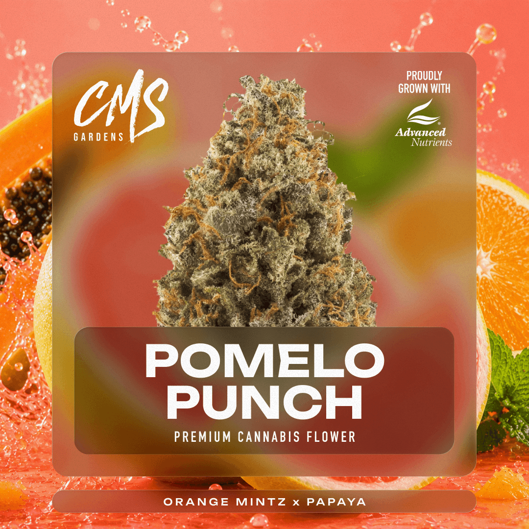 Pomelo Punch