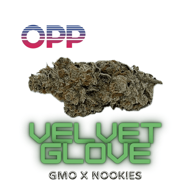Velvet Glove