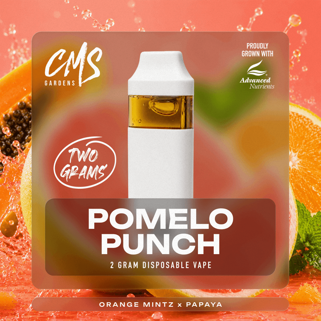Pomelo Punch - 2g Disposable Vape