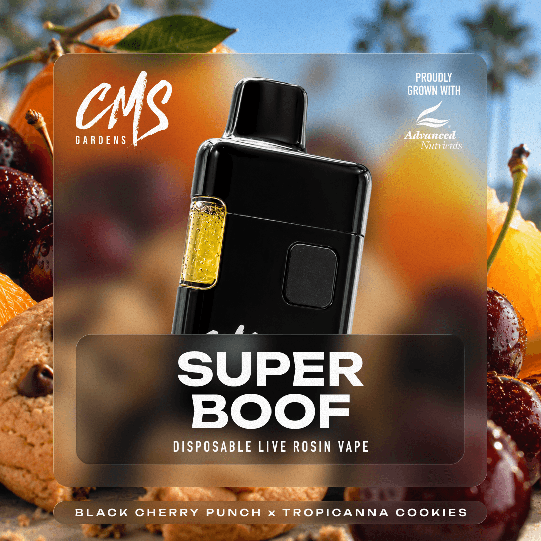 Superboof Live Rosin Disposable