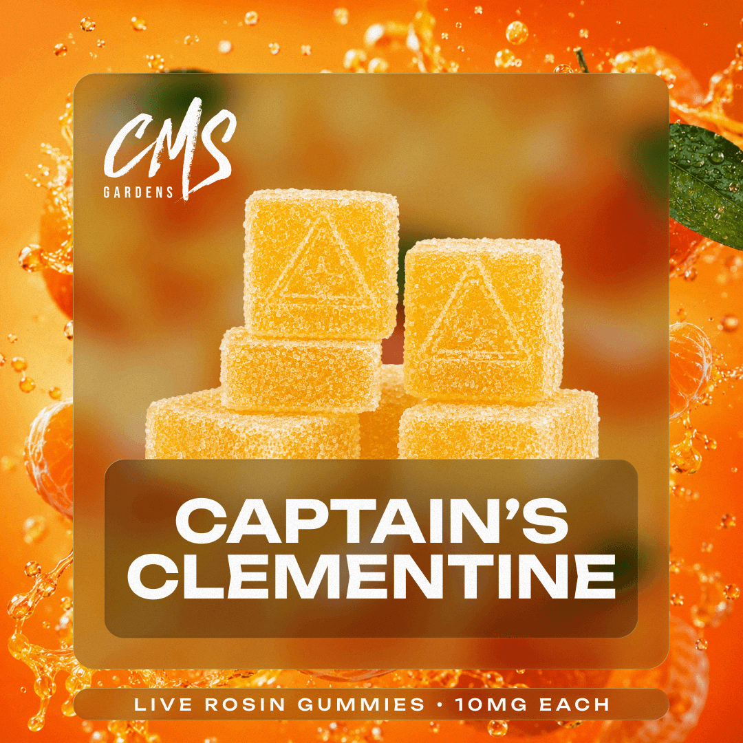Captain's Clementine Gummies | 10 pack