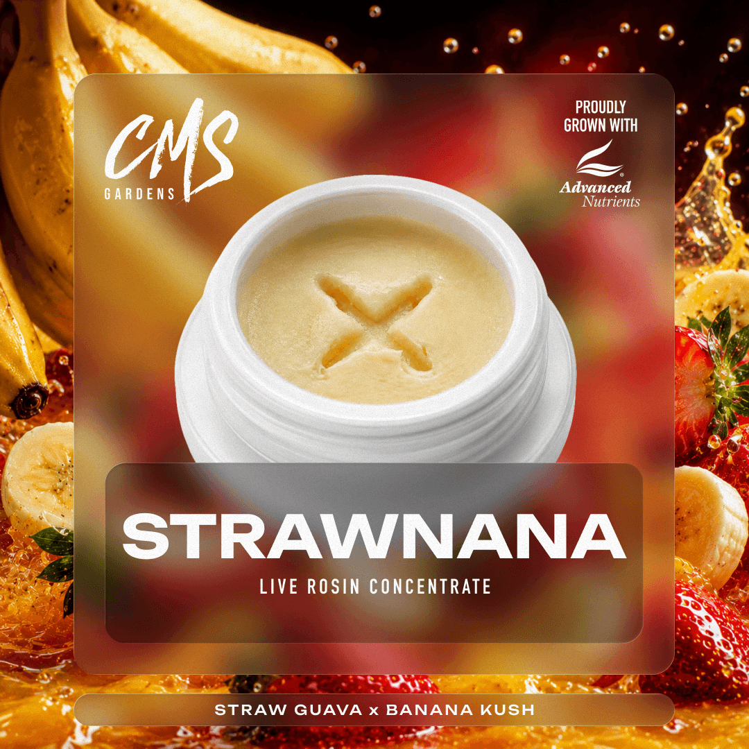 Strawnana - 2g Live Rosin