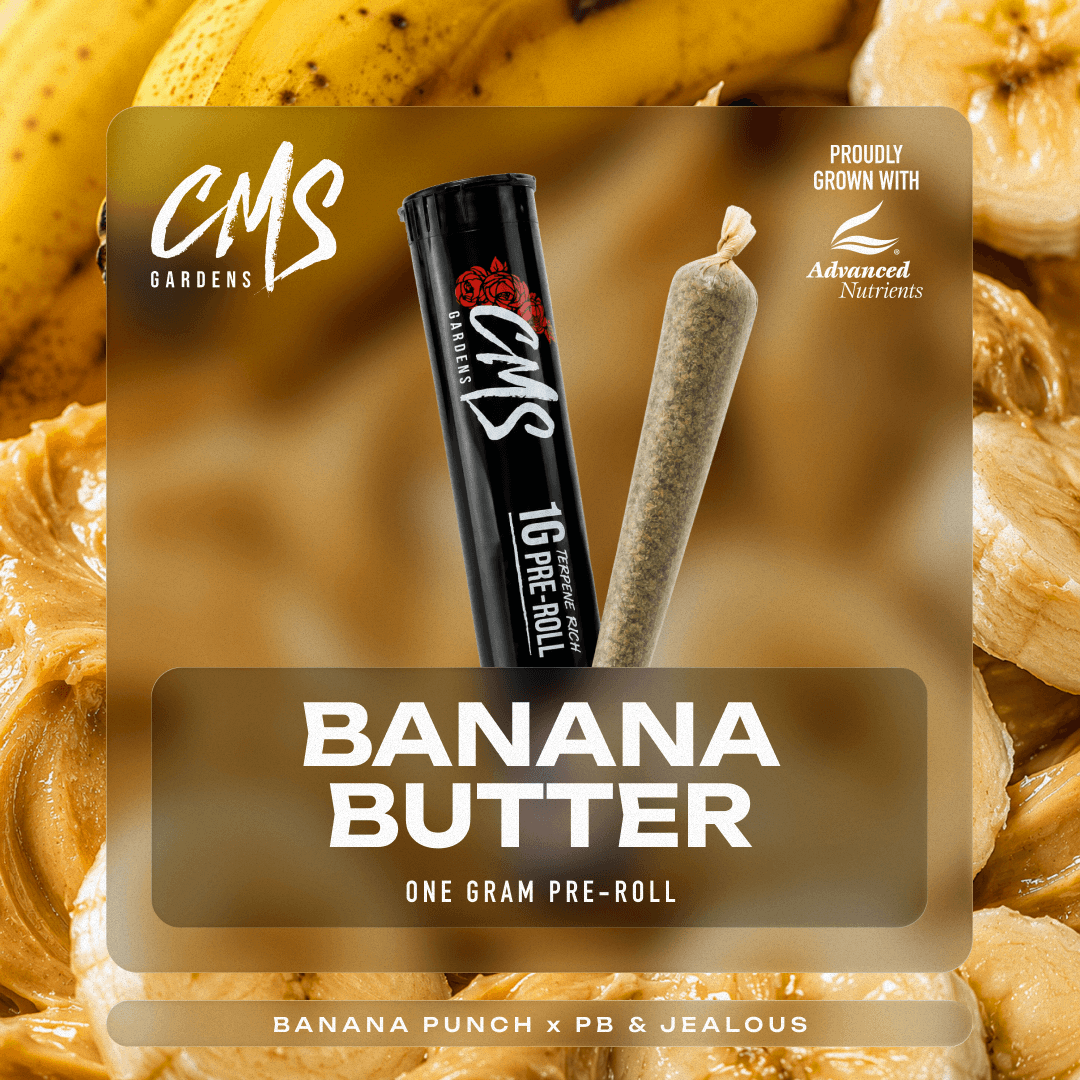 Banana Butter Pre-Roll