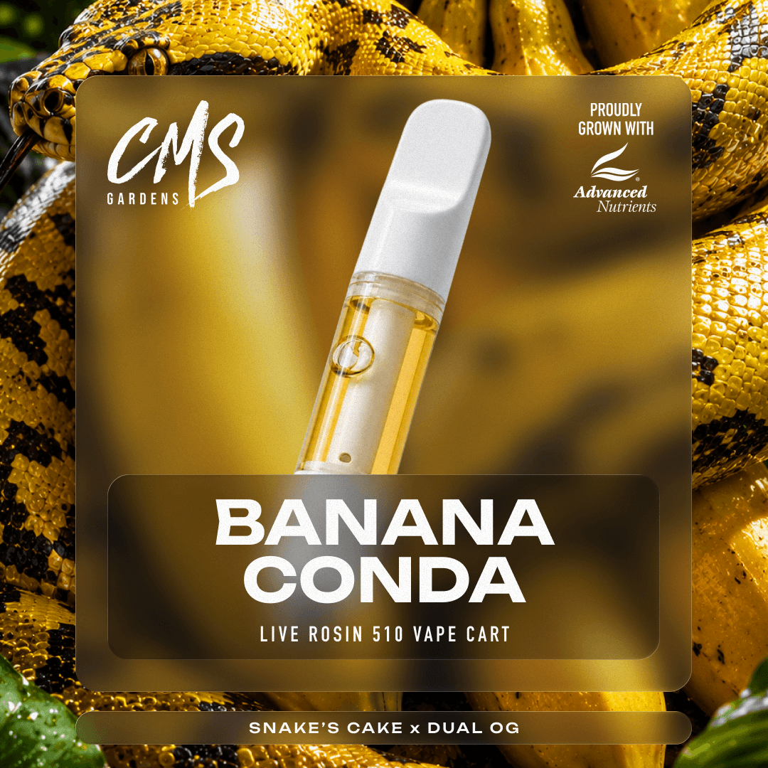 Bananaconda Live Rosin Cartridge