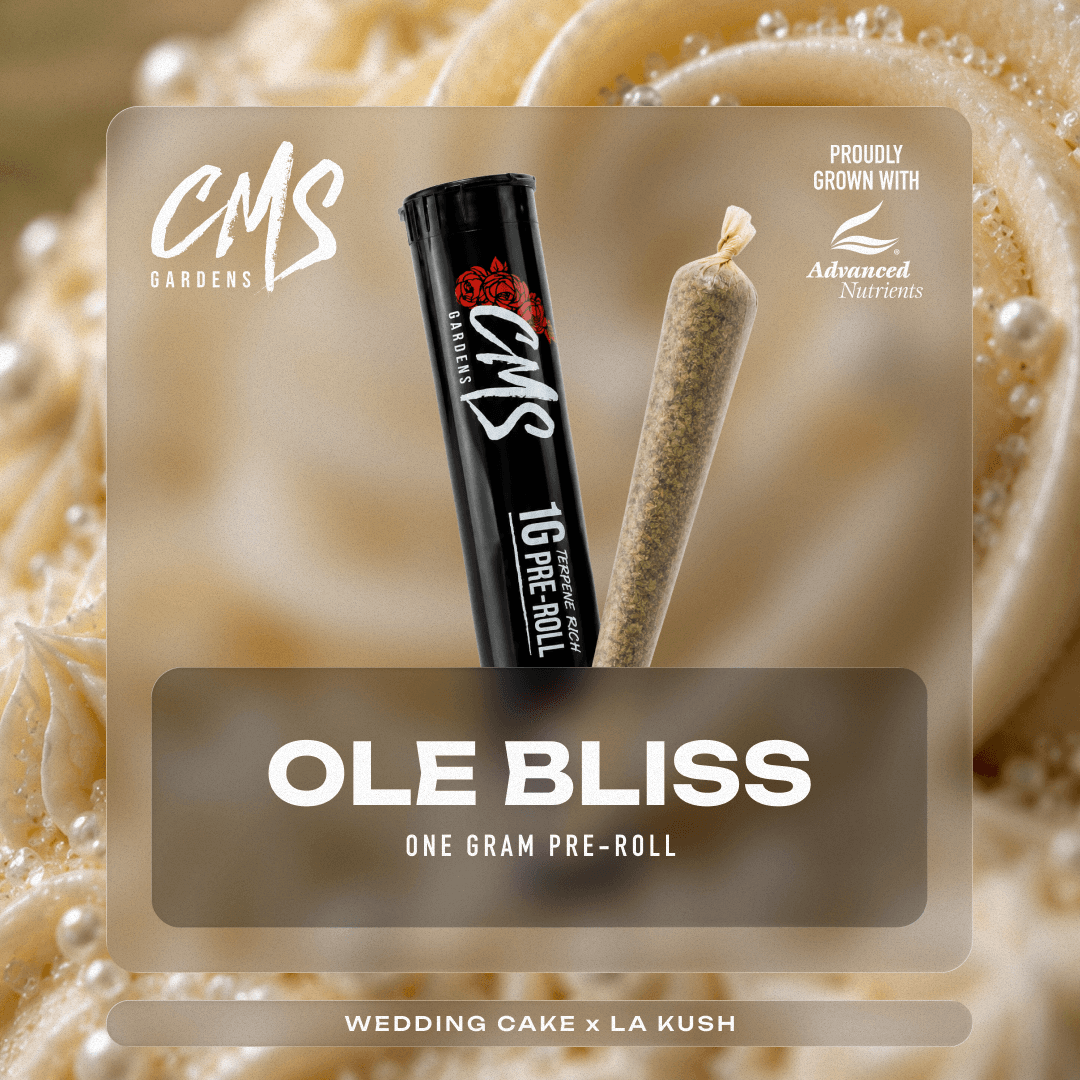 Ole Bliss | Preroll