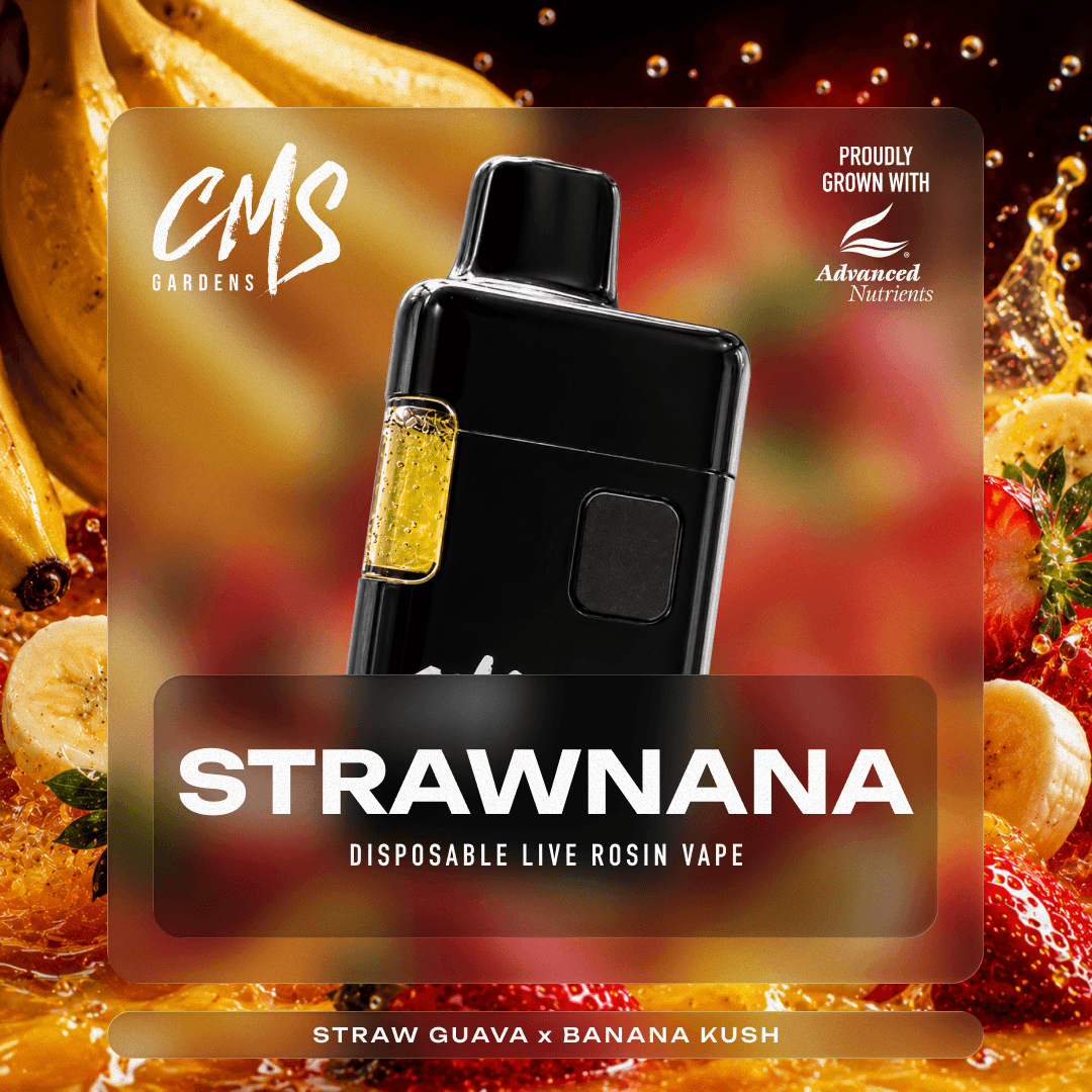 Strawnana | Live Rosin Disposable Vape