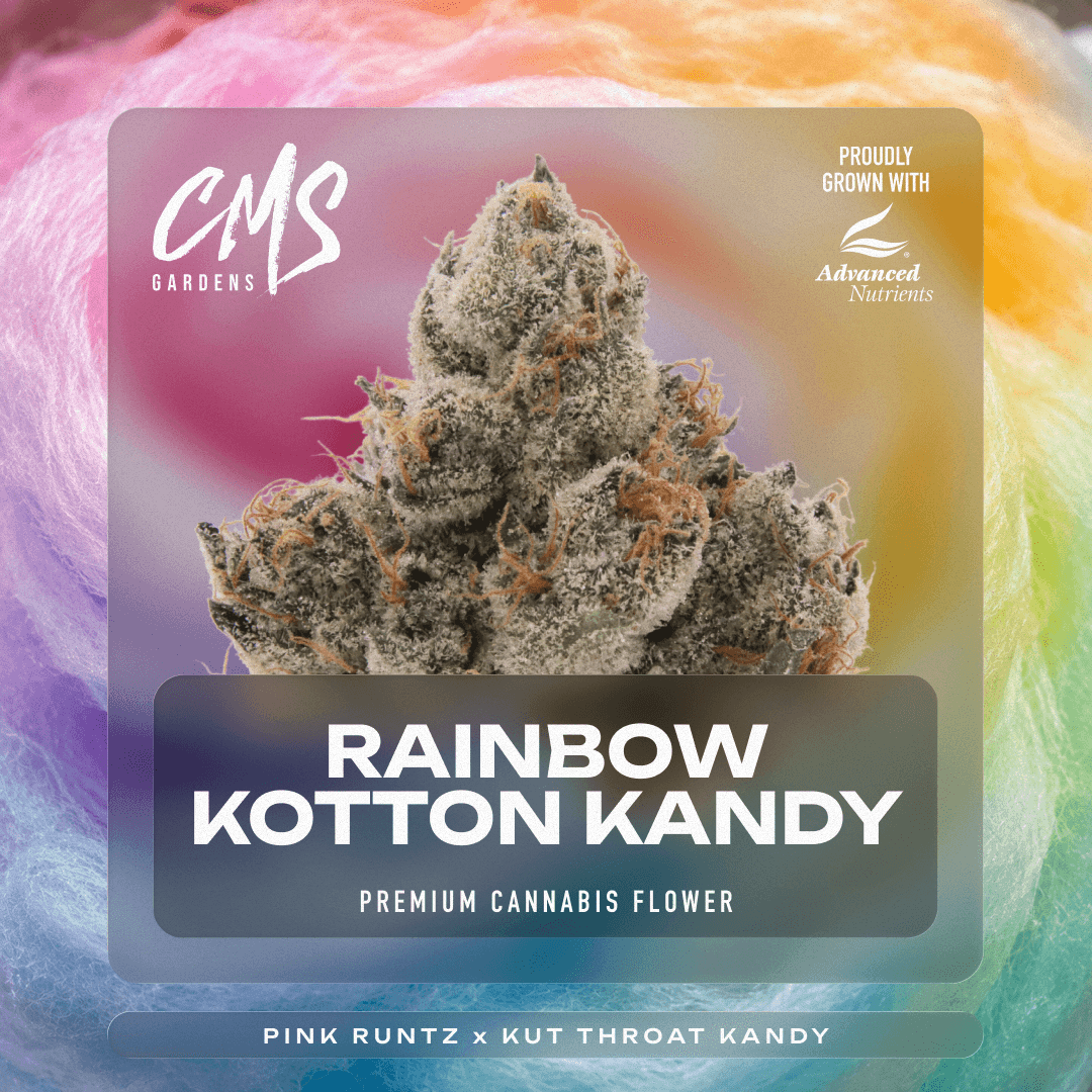 Rainbow Kotton Kandy