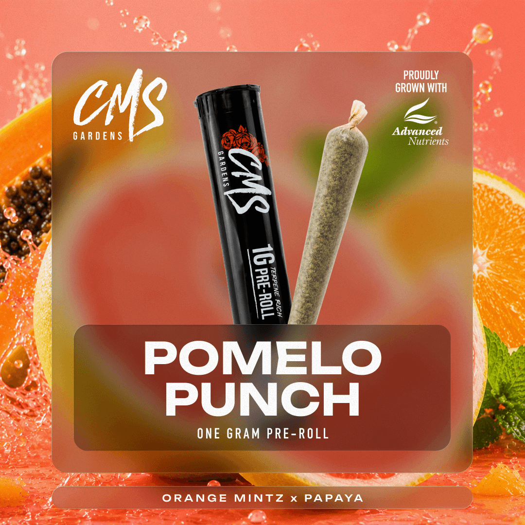 Pomelo Punch - 1g Pre-Roll